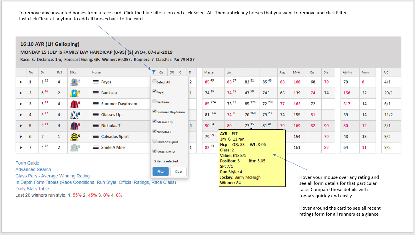 Speed Ratings Race Cards Explanation Inform Racing