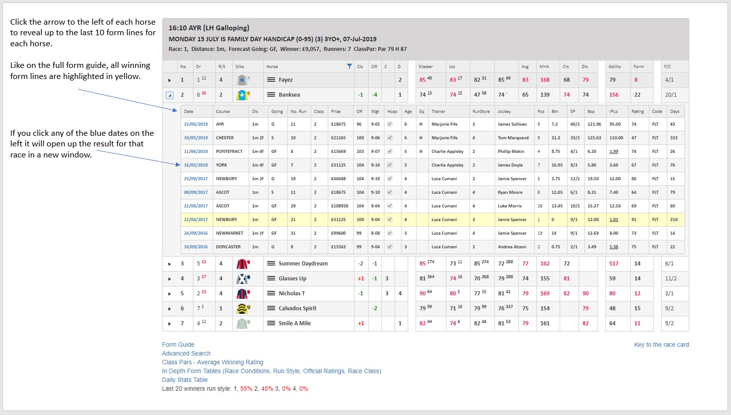 Speed Ratings Race Cards Explanation Inform Racing
